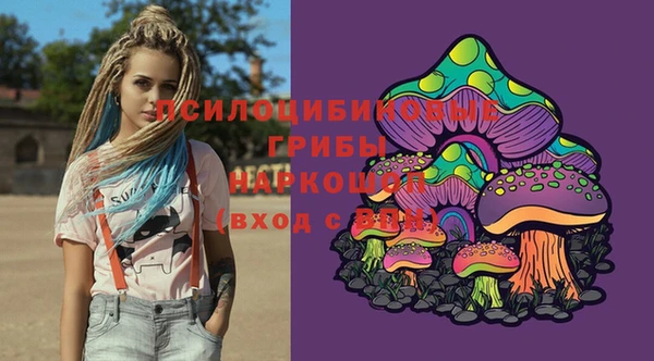твердый Абинск