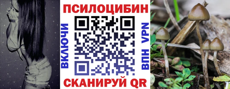 Псилоцибиновые грибы прущие грибы  закладки  Фурманов 